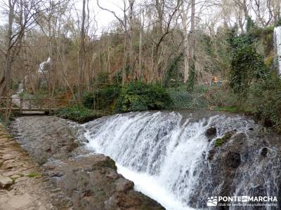 Parque Natural Monasterio de Piedra; rutas de montaña por madrid;senderismo iniciacion;los ancares 